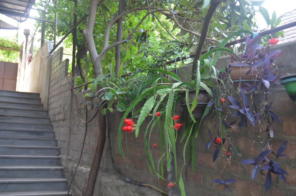 Alex'S Cosy Guesthouse Tbilisi Exterior foto